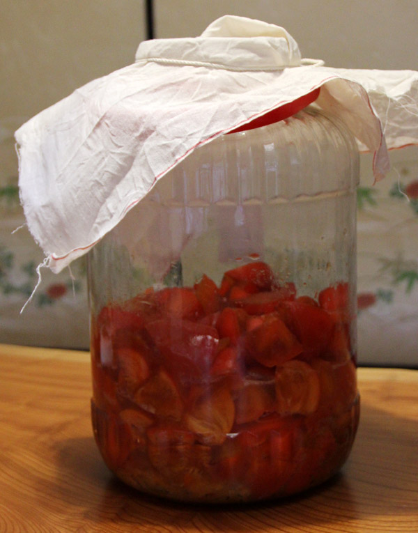 Rebirth of KyotoFoodie: 2015 Article Tease, Kakisu Fermenting Persimmons