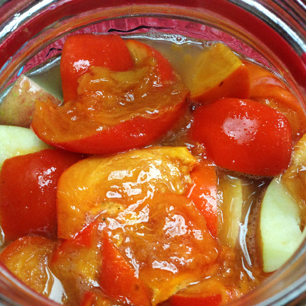 Rebirth of KyotoFoodie: 2015 Article Tease, Kakisu Fermenting Persimmons