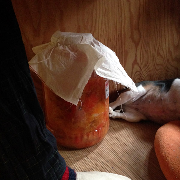 Rebirth of KyotoFoodie: 2015 Article Tease, Kakisu Fermenting Persimmons