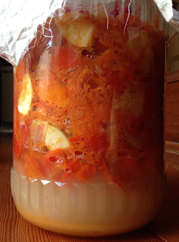 Rebirth of KyotoFoodie: 2015 Article Tease, Kakisu Fermenting Persimmons