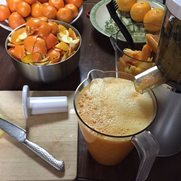 Juicing Japanese Citrus Ponkan and Dekopon
