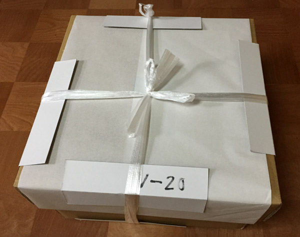 Kyoto Ceramics -- New Camellia Motif Donabe Hotpot